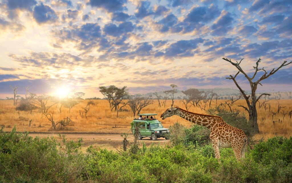 Exploring Tanzania: A Journey Through Wildlife, Culture, and Natural&nbsp;Wonders